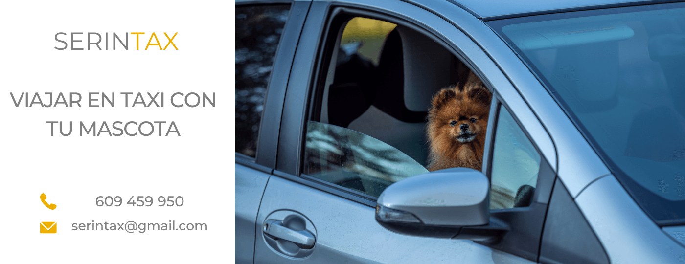 viajar en taxi con tu mascota